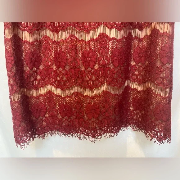 Anthropologie Elsa Peplum Dress Burgundy Lace Size SMALL - Picture 7 of 12